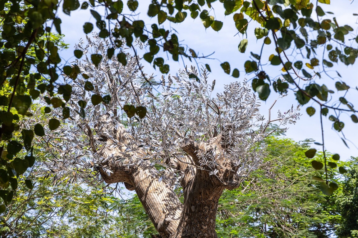 Resurrection and Echo | Photo from Tia-Thủy Nguyễn