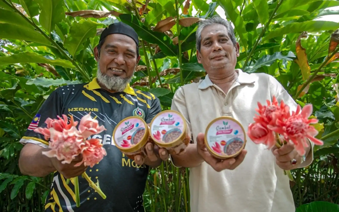 Former engineer Abdul Halim Abdul Majid (right), accompanied by business partner Mohammad Hazwan Mohamad (left), showcases their kantan (torch ginger) seedlings | Photo from Bernama Images