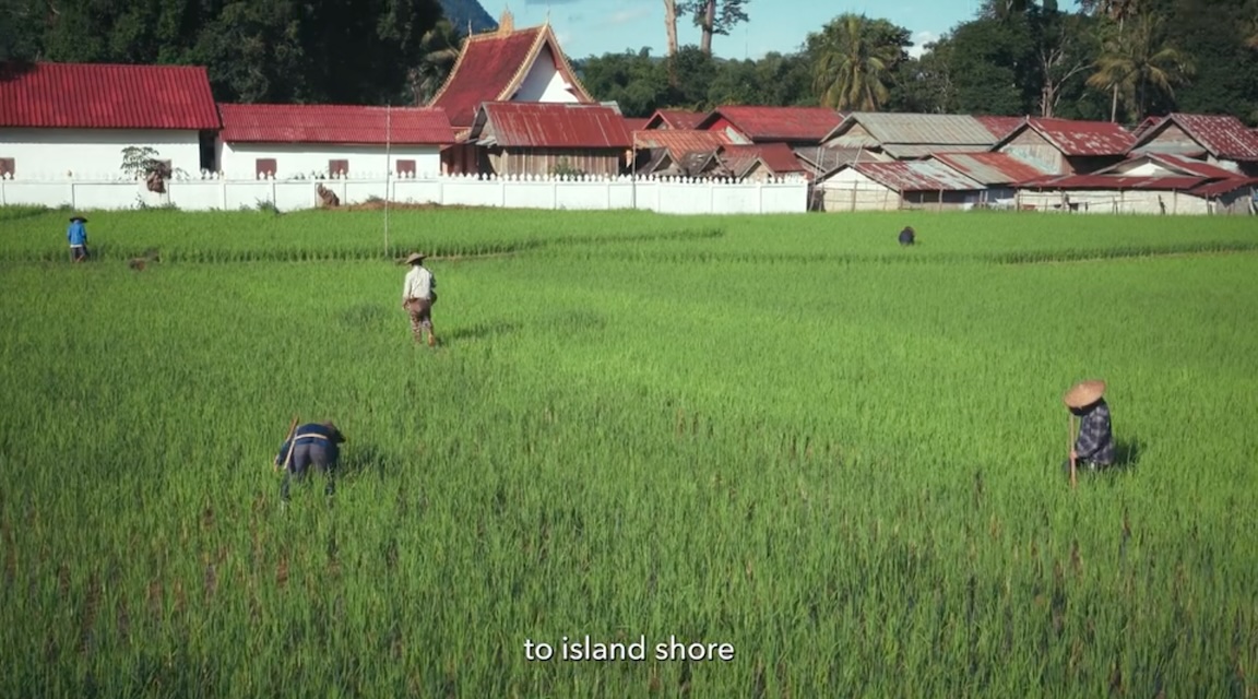 Still from CCP